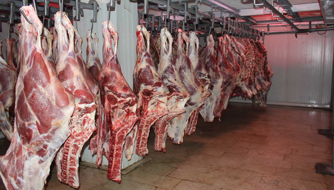 کشتار بی رویه دام‌های مولد در ماه‌های اخیر| نرخ هر کیلو شقه گوسفندی ۱۴۰ هزار تومان