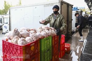 ستاد تنظیم بازار نرخ مرغ را اعلام نکرده است