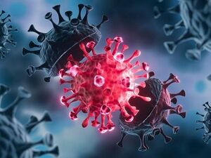 ویروس لامبدا چقدر خطرناک‌ است؟