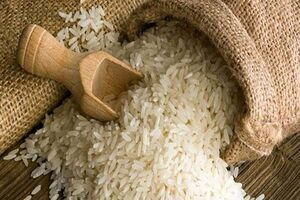 آخرین قیمت برنج ایرانی در بازار
