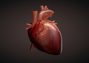 علت تپش قلب چیست؟