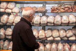 قیمت مرغ با حذف ارز ترجیحی۲.۵ برابر افزایش می یابد