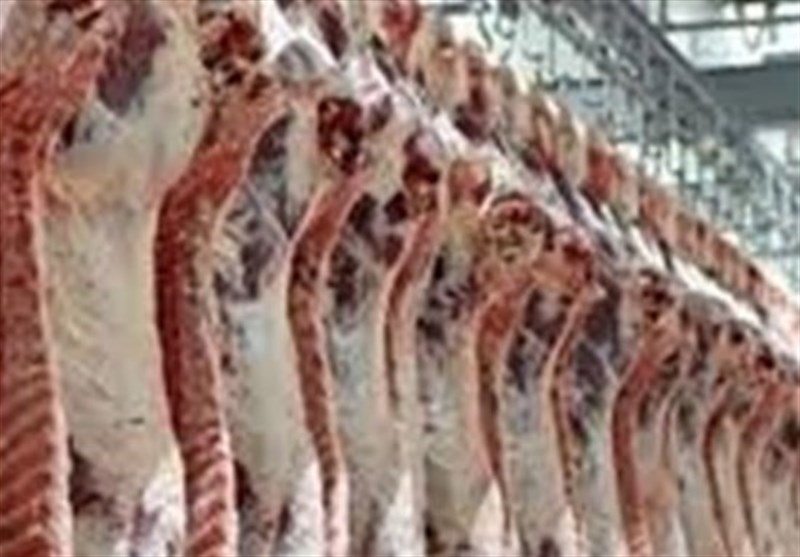 توزیع گسترده گوشت گوسفند روسی با قیمت ۱۸۰ هزار تومان در بازار