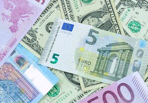 شرایط استفاده از سهمیه ارز ۵۰۰۰ یورویی اعلام شد