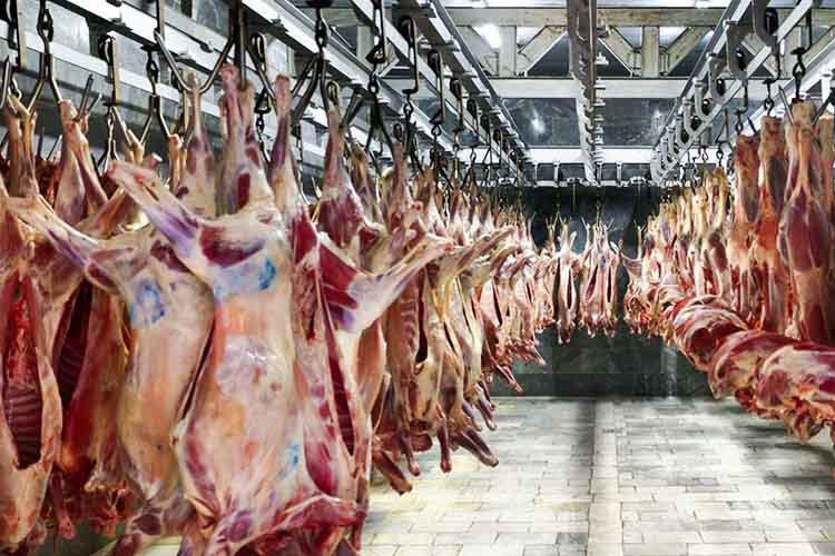 ماجرای گوشت کیلویی ۵۰۰ هزار تومان