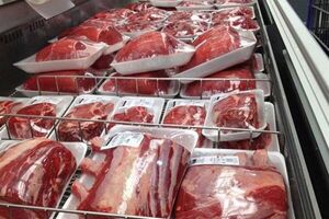 گوشت وارداتی کیلویی چند است؟