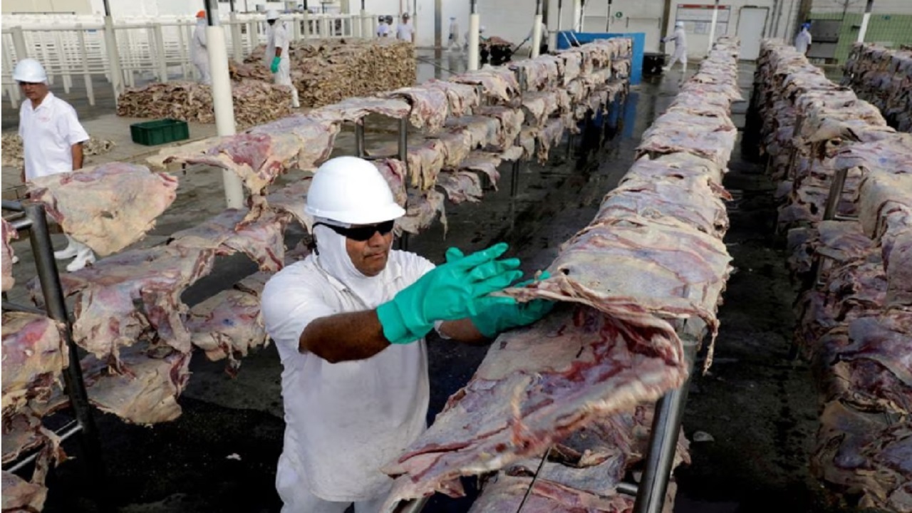 رویترز: ایران و سایر کشور‌های آسیایی واردات گوشت برزیلی را به حالت تعلیق درآوردند