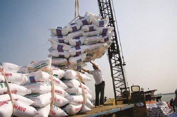 واردات برنج ایرانی با برند پاکستانی به کشور