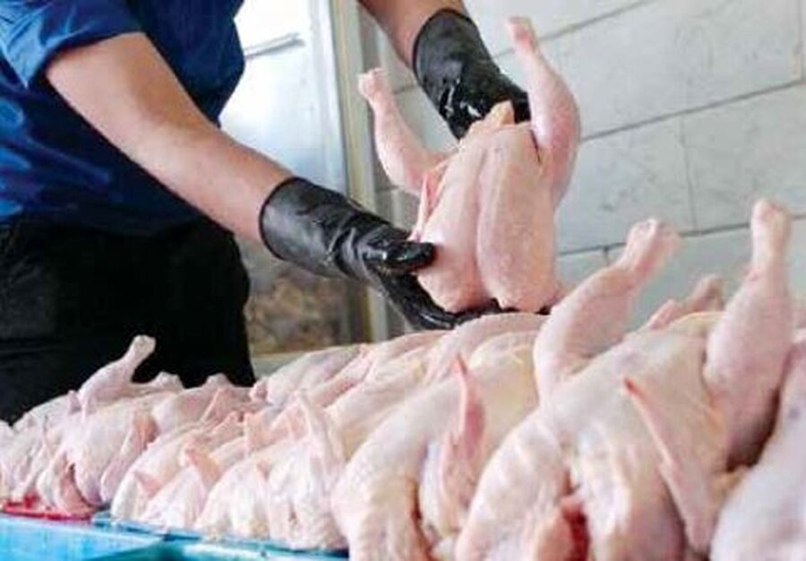 قیمت مصوب مرغ پس از افزایش قیمت اعلام شد