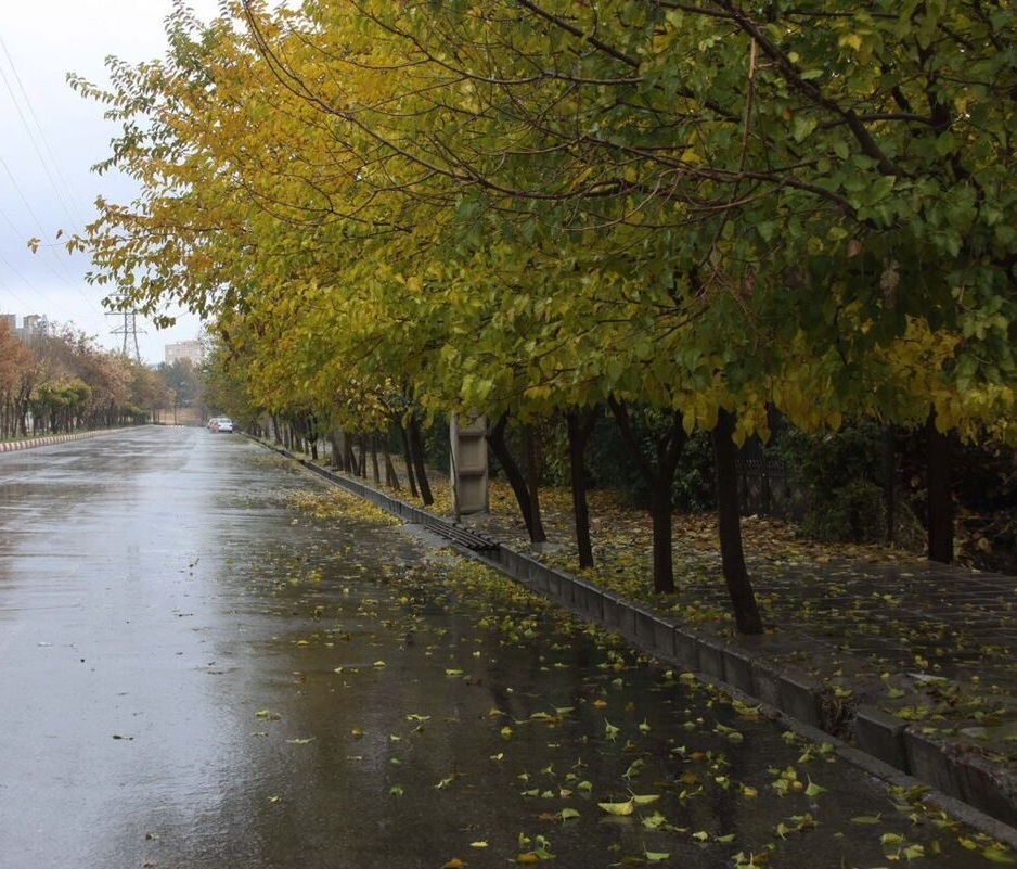 تداوم رگبار پراکنده باران در برخی استان‌ها تا پایان هفته