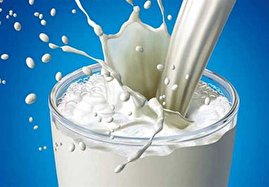 قیمت خرید تضمینی شیر خام ابلاغ شد؛ کیلویی ۱۲ هزار تومان+ سند