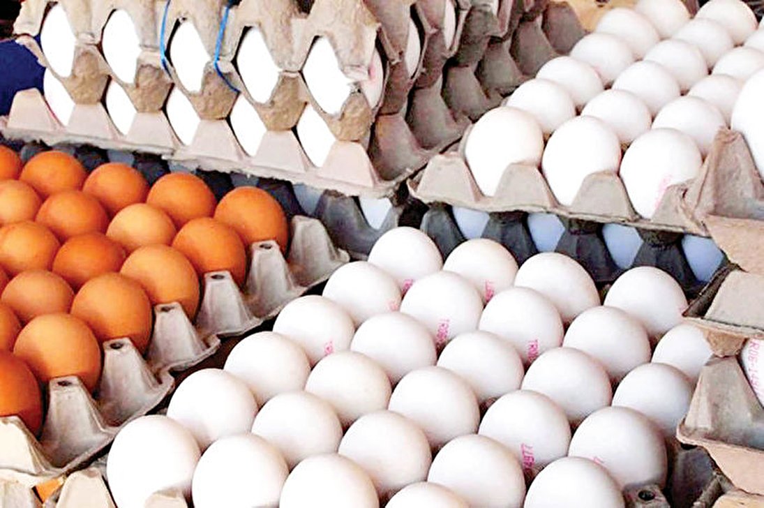 عربستان واردات مرغ و تخم‌مرغ فرانسه را ممنوع کرد