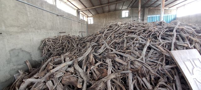 کشف و ضبط بیش از ۳۰ تن چوب قاچاق در شهریار