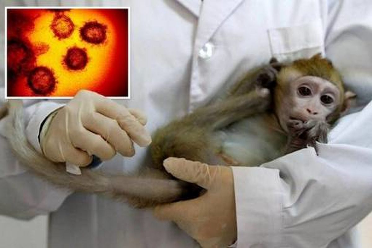 واکسیناسیون جمعی برای مقابله با آبله میمونی توصیه نمی‌شود