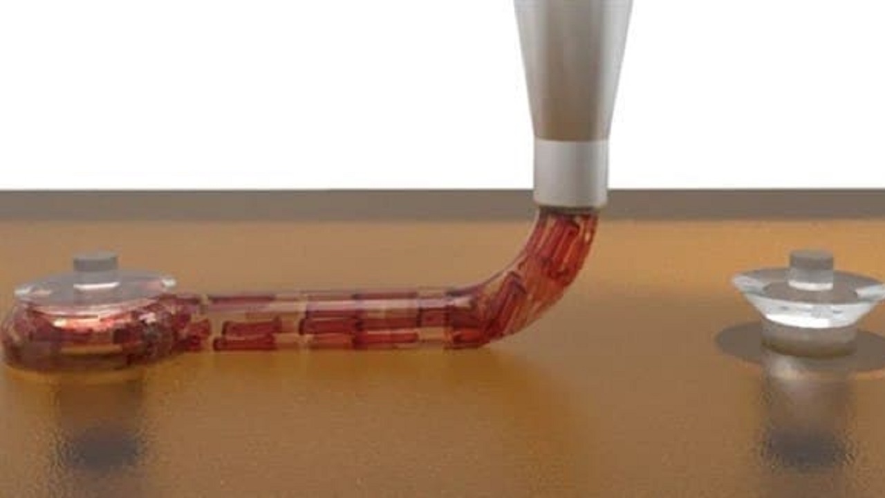 استفاده از پرینت سه بعدی برای ساخت قطعه ای کاربردی از قلب