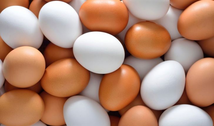 تخم مرغ نصف قیمت تولید به فروش می‌رسد