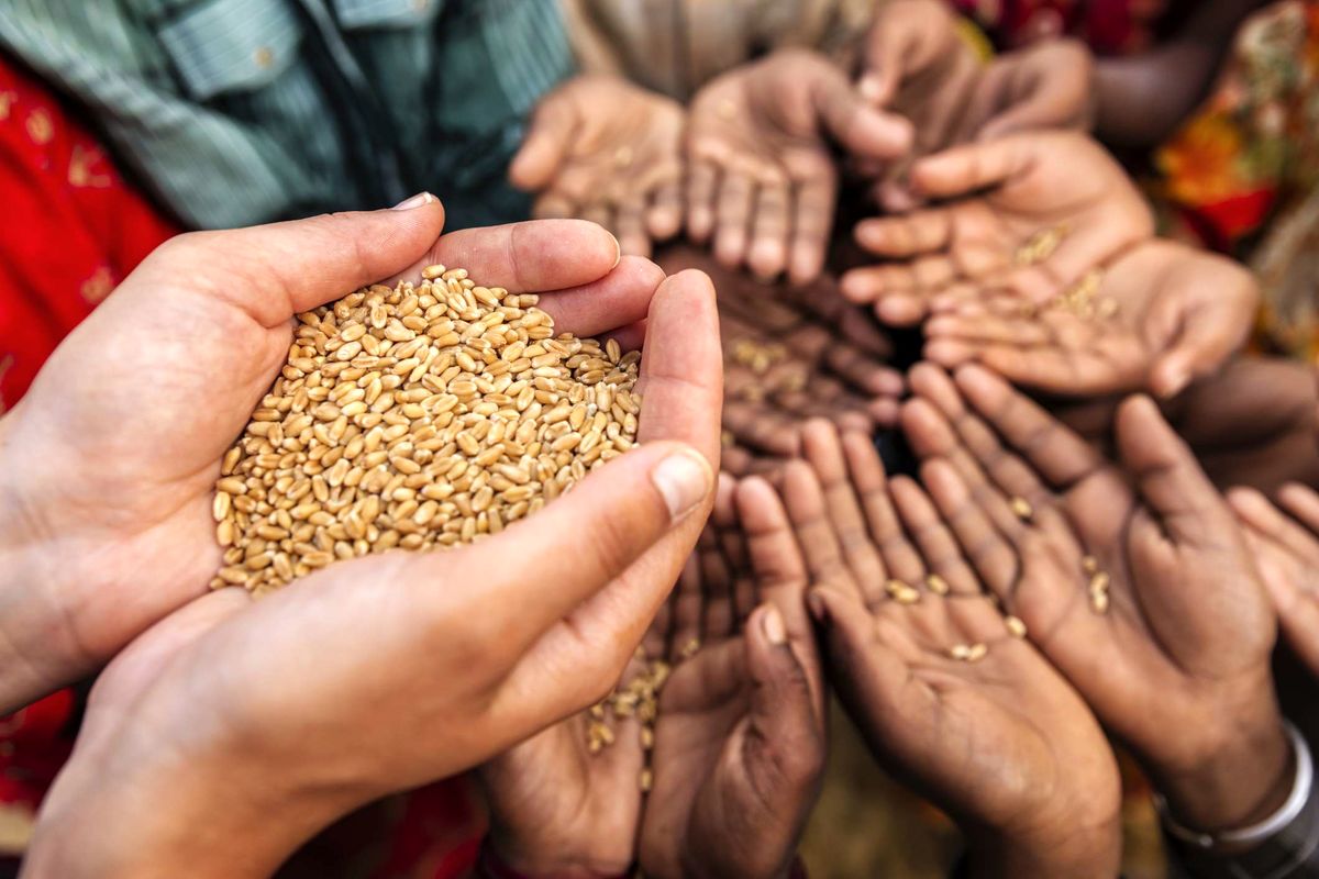 ضربه افزایش قیمت مواد غذایی به اقتصاد جهانی