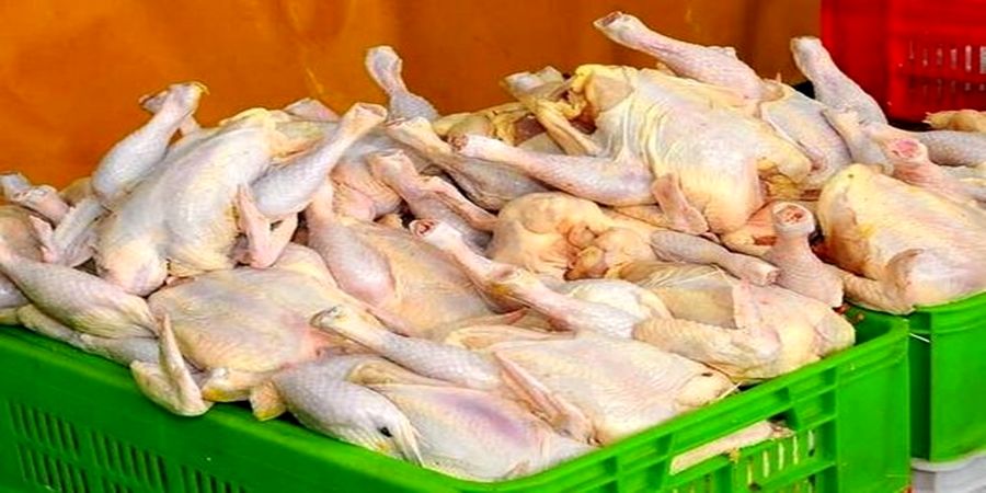 سکوت کامل دولت در برابر افزایش ۷۵۰۰ تومانی قیمت مرغ!