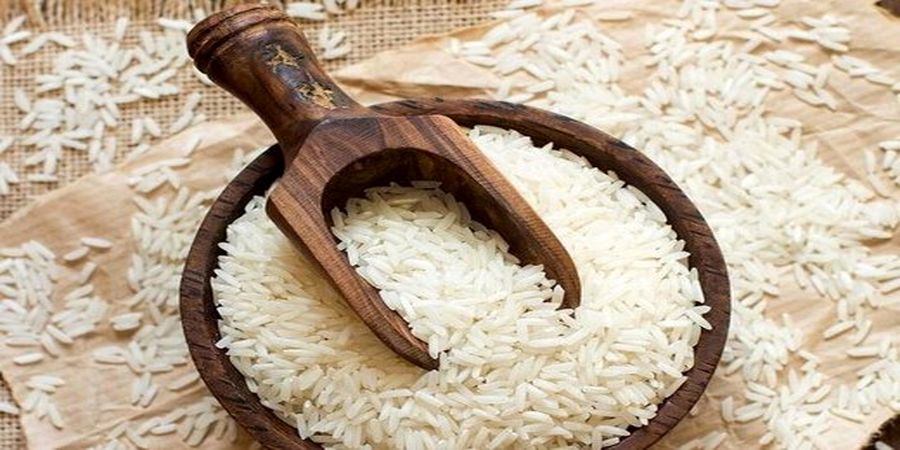 سقوط قیمت برنج آغاز شد +قیمت جدید برنج