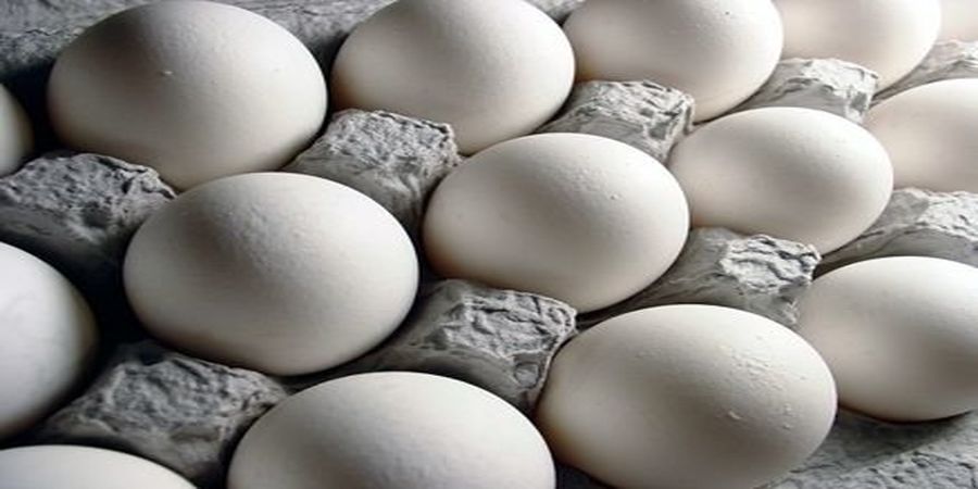 نرخ مصوب هر شانه تخم‌مرغ اعلام شد