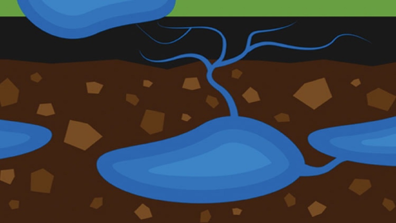 چگونه آب‌های زیرزمینی می‌توانند زندگی ما را متحول کنند؟