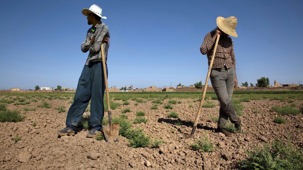 خشکسالی عامل بیکاری جوانان روستایی