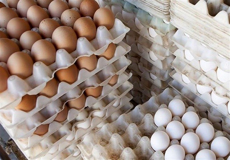 جدیدترین نرخ تخم مرغ در روز‌های پایانی آذر