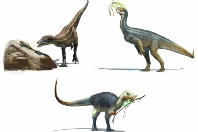 کشف جالب محققان درباره غذای اولین دایناسور‌ها