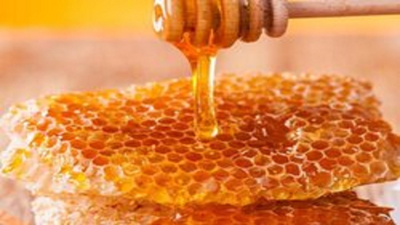 ایران رتبه چهارم تولید عسل در جهان را دارد