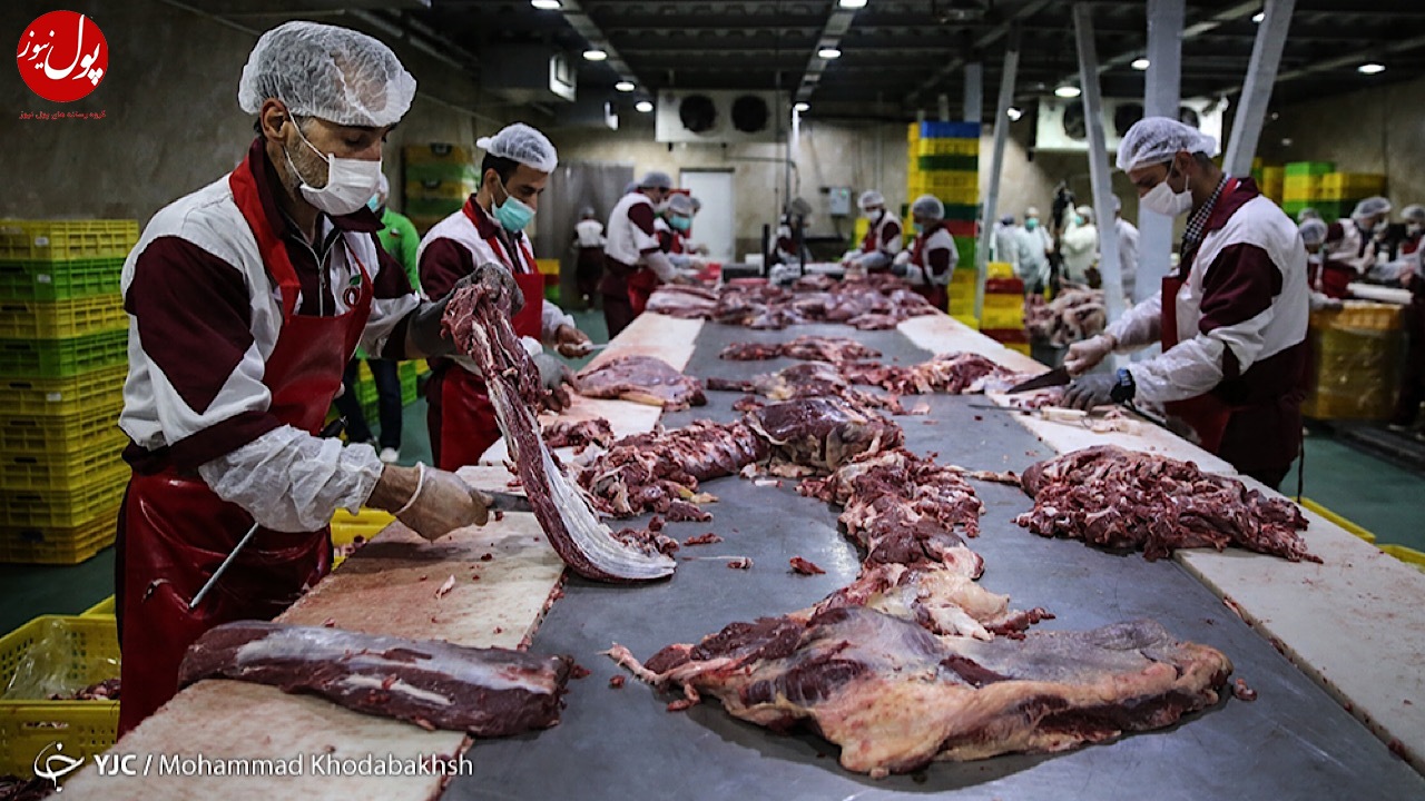 توزیع گوشت از طریق کالابرگ راهی برای کاهش قیمت