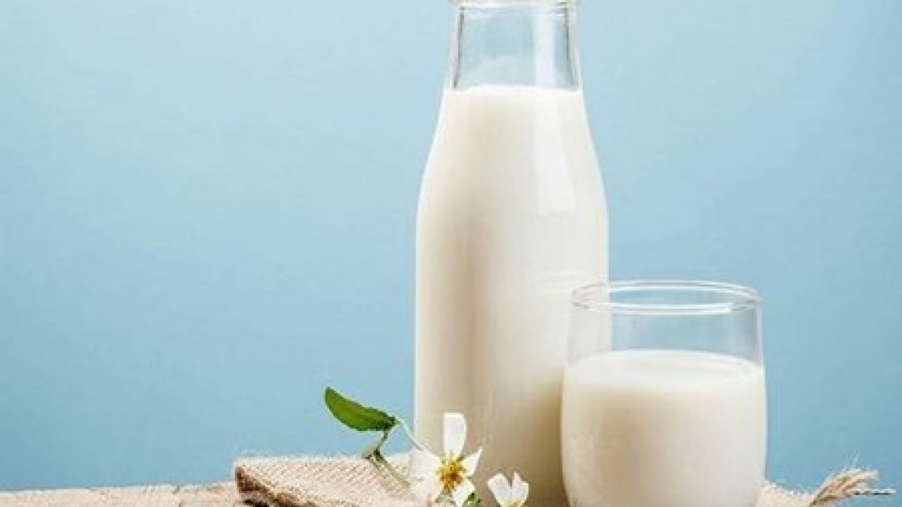 روزانه دو لیوان شیر بنوشید/ خواب بهتر با مصرف لبنیات