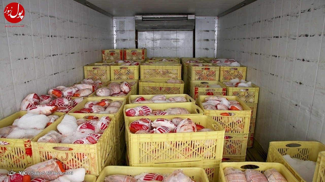 توزیع روزانه ۷ هزار و ۵۰۰ تن مرغ در سطح کشور