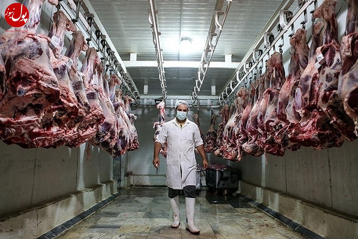 ورود روزانه ۲۵۰ تن گوشت به کشور