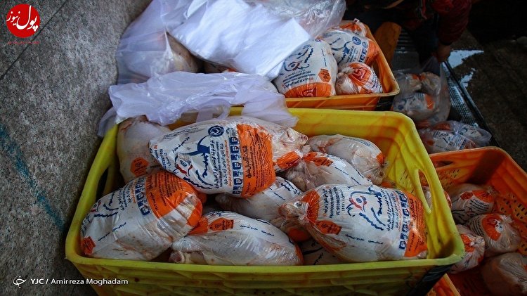 ۳۰ هزار تن مرغ منجمد از مرغداران خریداری می شود
