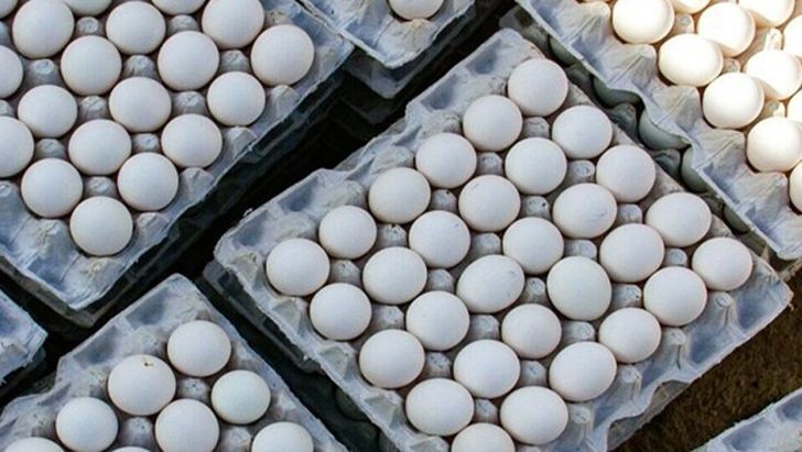 مابه‌التفاوت یارانه دولتی صادرات تخم‌مرغ به بیت‌المال پرداخت می شود