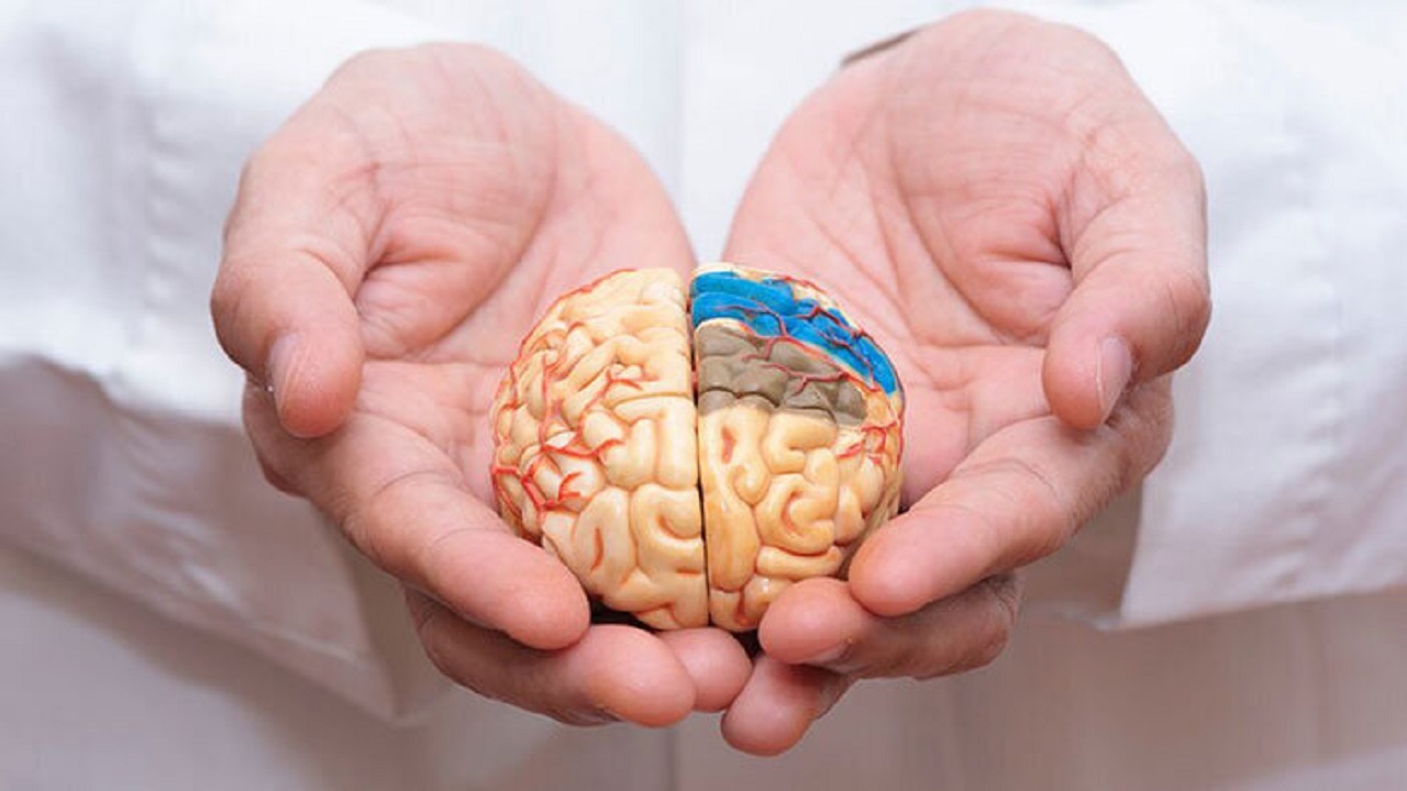کوچک شدن مغز بر اثر بیماری روانی