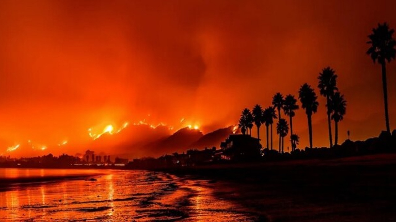 آتش‌سوزی جنگلی موجب رشد حیات دریایی می‌شود!