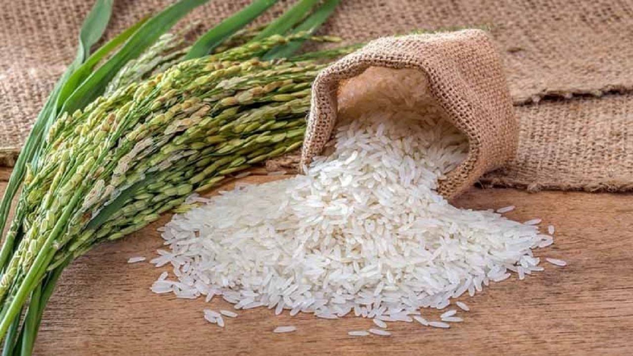 تامین حدود ۸۰۰ هزار تن کسری برنج از طریق واردات