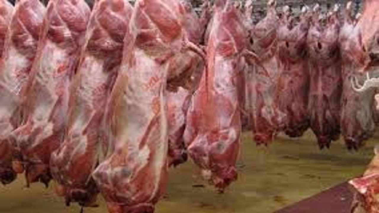 واردات بیش از ۳۲ هزار تن گوشت گرم گوسفندی و گوساله