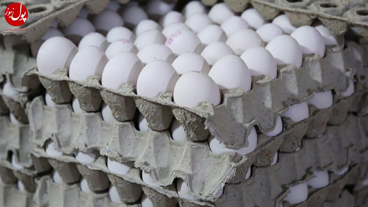 تولید تخم مرغ فروردین به ۱۰۵ هزارتن می رسد
