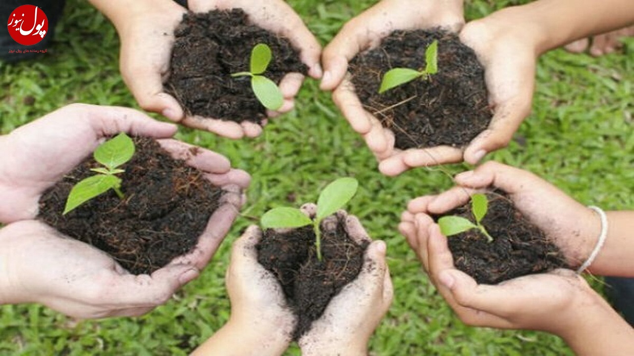 مشارکت ۱۷ میلیون دانش‌آموز در طرح کاشت یک میلیارد درخت