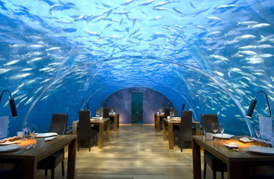 هتل کنراد مالدیو، مالدیو:
این هتل در جنوبی ترین قسمت جزیره مرجانی آری بنا شده و در میان جنگل های استوایی، سواحل شنزار سپید و آب های شفاف کریستالی احاطه شده است. یکی از مهمترین جاذبه های این هتل رستوران زیرآبی با سقف شیشه ای است.