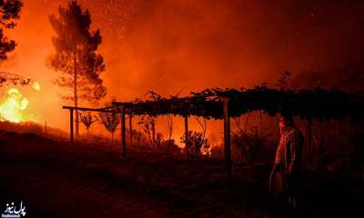 آتش‌سوزی جنگلی به دلیل گرمای هوا در پرتغال