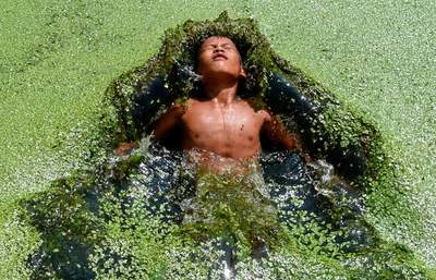 شنا کردن پسری در دریاچه‌ای که رویش جلبک دریایی پوشانده است/ نپال
