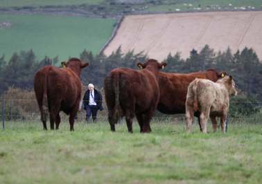 بازدید بوریس جانسون از مزرعه ای برای اعلام بودجه اضافی برای کشاورزان اسکاتلند/ آبردین ، اسکاتلند