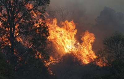 آتش سوزی گسترده در مناطق کوئینزلند, استرالیا