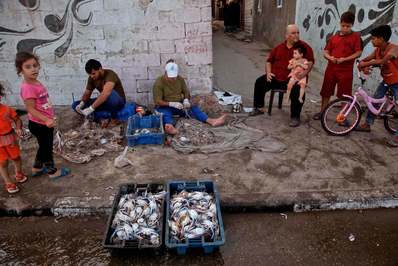 صیادان فلسطینی در حال پاک کردن خرچنگ های صید شده/ غزه