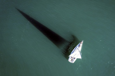 یک قایق بادبانی در ساحل فریبرگ در ولینگتون، نیوزیلند